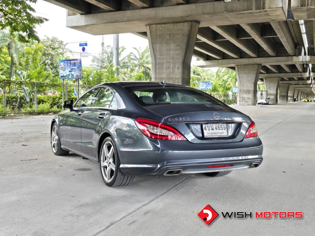 MERCEDES-BENZ CLS-CLASS CLS 250 CDI AT ปี 2011 #4 (L)