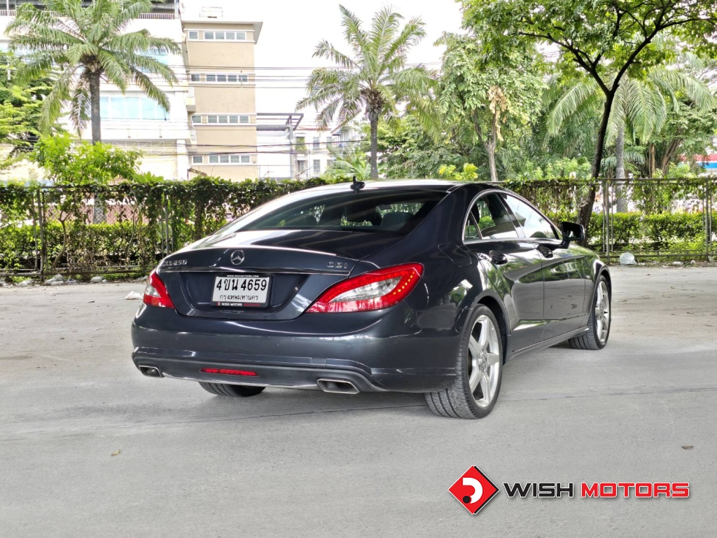 MERCEDES-BENZ CLS-CLASS CLS 250 CDI AT ปี 2011 #6 (L)