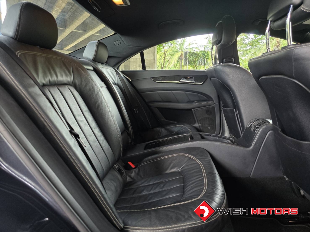 MERCEDES-BENZ CLS-CLASS CLS 250 CDI AT ปี 2011 #13 (L)