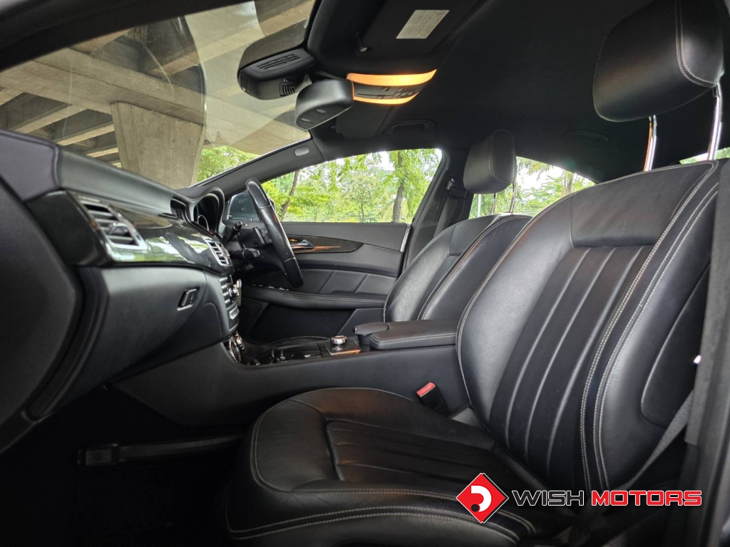 MERCEDES-BENZ CLS-CLASS CLS 250 CDI AT ปี 2011 #15 (L)