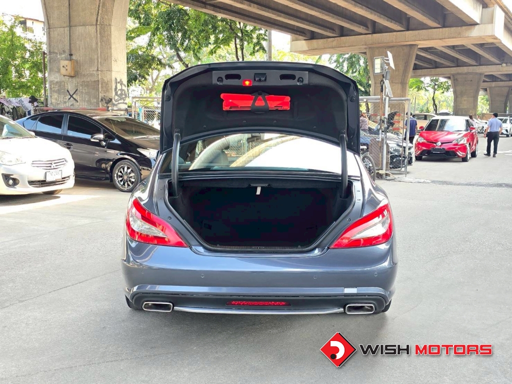 MERCEDES-BENZ CLS-CLASS CLS 250 CDI AT ปี 2011 #20 (L)